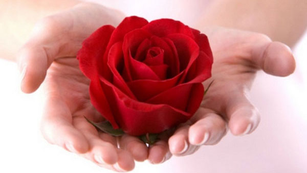 Ý nghĩa của số lượng hoa Hồng bạn cần phải biết khi tặng cho người khác