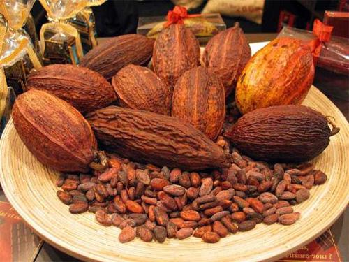 Cacao dẫn đầu danh sách các loại thực phẩm có chứa chất chống Oxy hóa