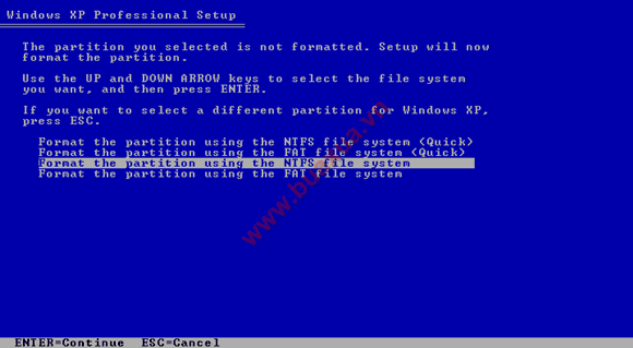 Format the partition using the NTFS file system