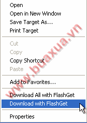 Download With FlashGet