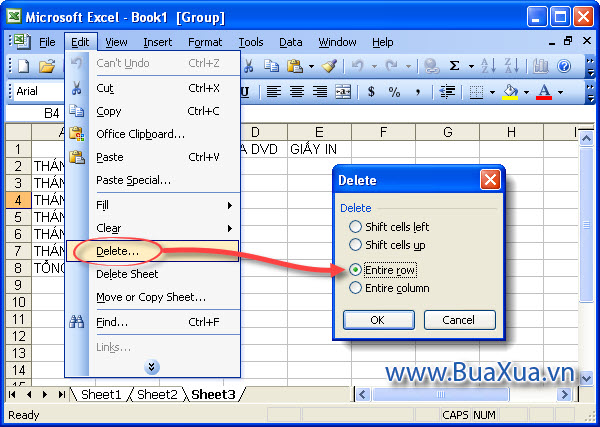 Cách xóa bớt hàng trong Excel 2003