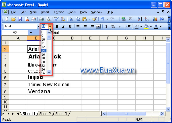 Cách thay đổi kích thước chữ trong bảng tính Excel 2003