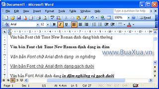 Cách định dạng Font chữ cơ bản trong MS Word 2003