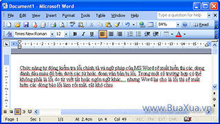Cách tắt hiển thị lỗi chính tả và ngữ pháp trong MS Word 2003
