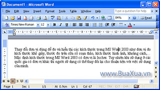 Cách thay đổi đơn vị đo kích thước trong MS Word 2003
