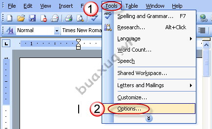 Truy cập vào trình đơn Tools và chọng Options trong MS Word 2003