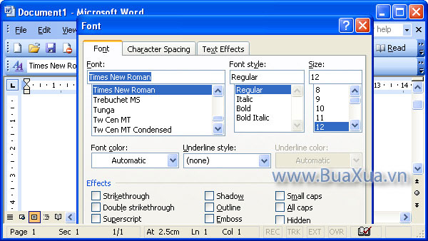 Cách thiết lập Font chữ mặc định trong MS Word 2003