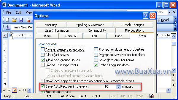 Cách thiết lập thời gian tự động lưu trong MS Word 2003