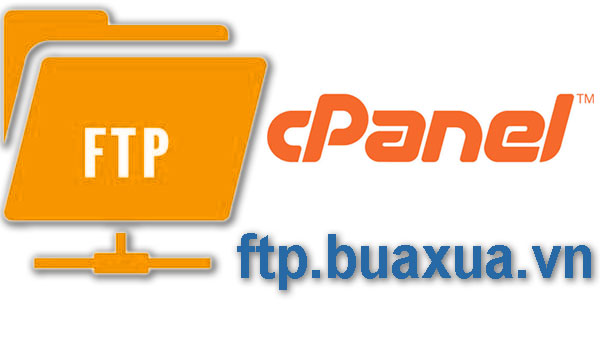 Cách tạo tài khoản FTP trong cPanel trên Shared Hosting