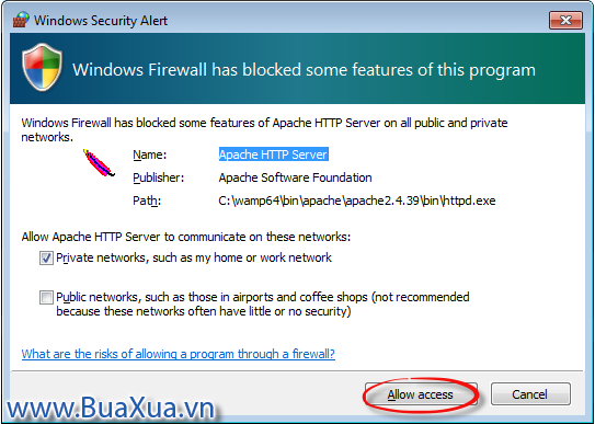Hôp thoại Windows Security Alert