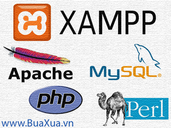 XAMPP là chương trình tạo máy chủ Web - Web Server trên máy tính cá nhân - Localhost