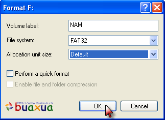 Chọn File system là FAT32
