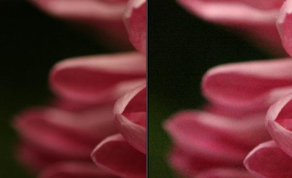 Ảnh bên trái được chụp ở ISO 100 và ảnh bên phải bị nhiễu hạt khi chụp ở ISO 3200