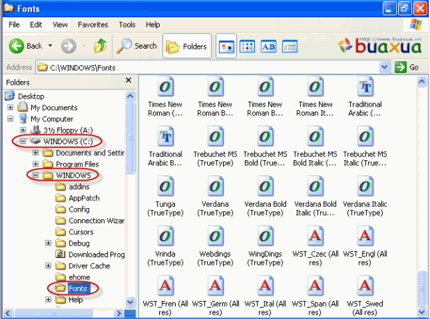 Copy các tập tin Font chữ vào thư mục Fonts của Windows