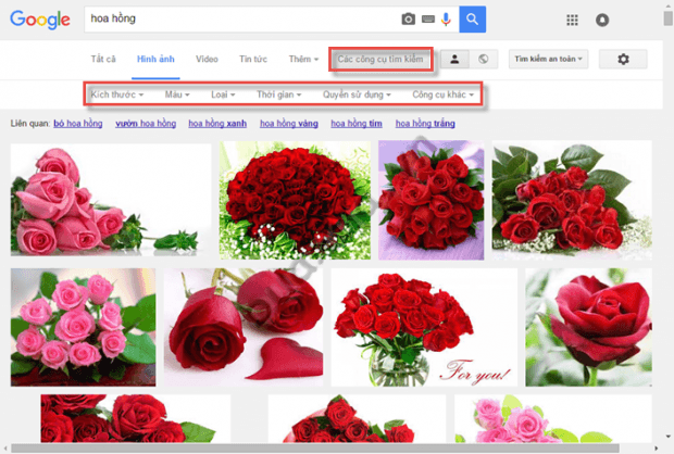 Google Images Search cung cấp các công cụ tìm kiếm với các tính năng tìm kiếm nâng cao