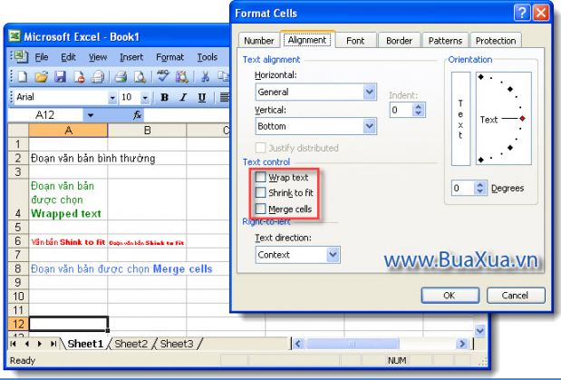 Cách thay đổi điều khiển văn bản trong ô của Excel 2003