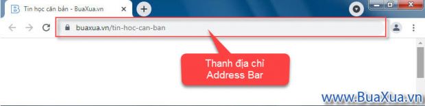 Địa chỉ web và thanh địa chỉ - URL và Address Bar