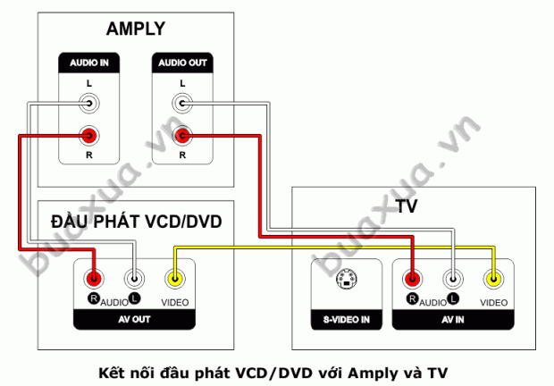 Kết nối âm thanh từ đầu phát VCD/DVD qua Amply rồi tới Tivi qua cổng AV Out của Amply