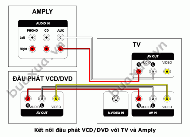 Kết nối âm thanh từ đầu phát VCD/DVD qua TV rồi tới Amply qua cổng AV Out của TV